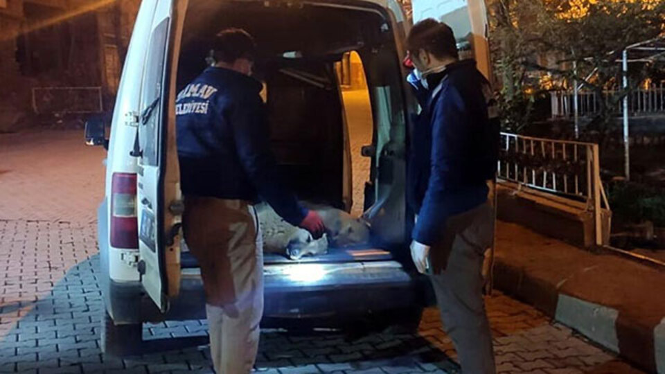 'İnsanlıktan nasibini almamış vicdan yoksunları'