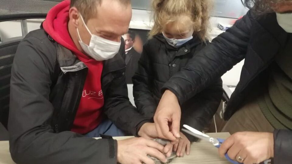 Rizeli minik Masal'ın güvercin kurtarma operasyonu