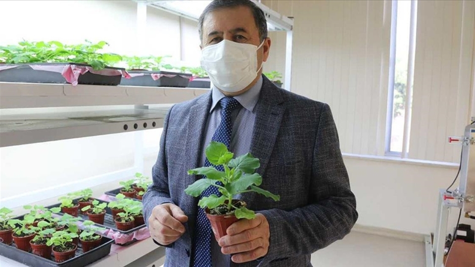 Akdeniz Üniversitesi Covid-19'a karşı ilaç ve aşı adayı geliştirildiğini açıkladı