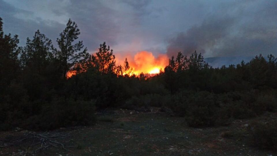 Muğla'da orman yangını çıktı