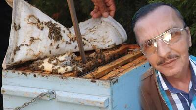 Kontrole gittiği arılar öldürdü