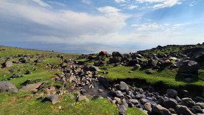 WMO: 2020, şimdiye kadarki en sıcak 3 yıldan biri oldu