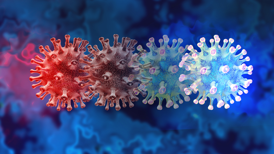 Korona ile mücadeleye satranç benzetmesi