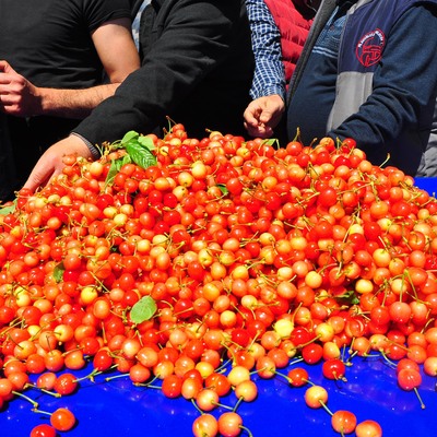 Kilosu 500 TL'den alıcı buldu
