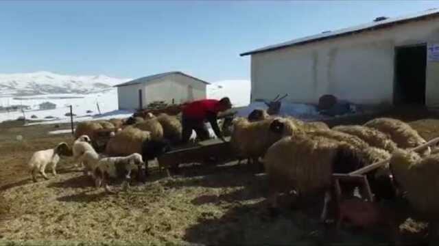 Eski hükümlü devlet desteğiyle kendi işini kurdu