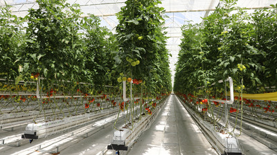 Bakanlıktan jeotermal seraya yatırım çağrısı