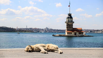 Bugün hava nasıl olacak?