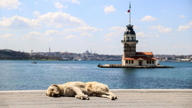 Bugün hava nasıl olacak?