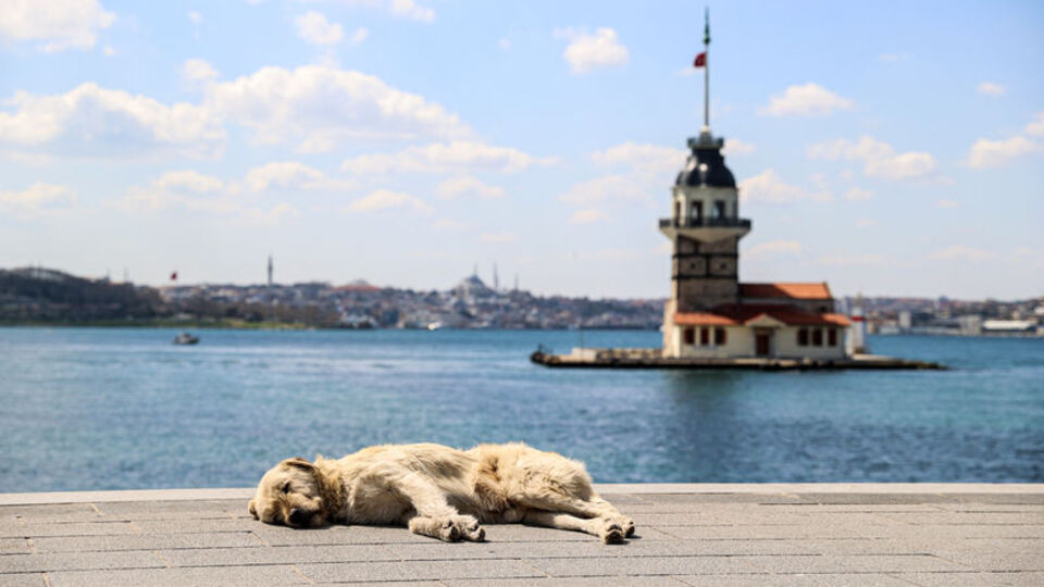 Bugün hava nasıl olacak?