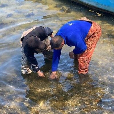 Balıkçıların ağına takıldı... Heyecan yarattı