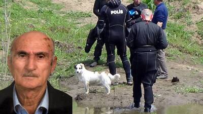 Sokak köpeğinden duygulandıran vefa!