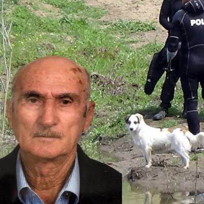 Sokak köpeğinden duygulandıran vefa!