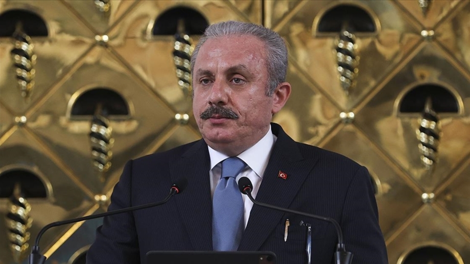 Şentop: "Soykırım" demenin hukuki şartı yok