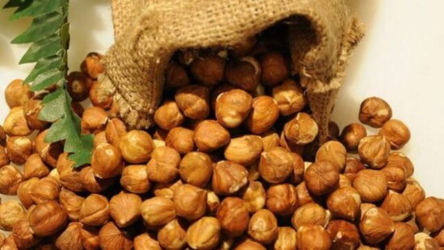 İl il fındık fiyatları listesi