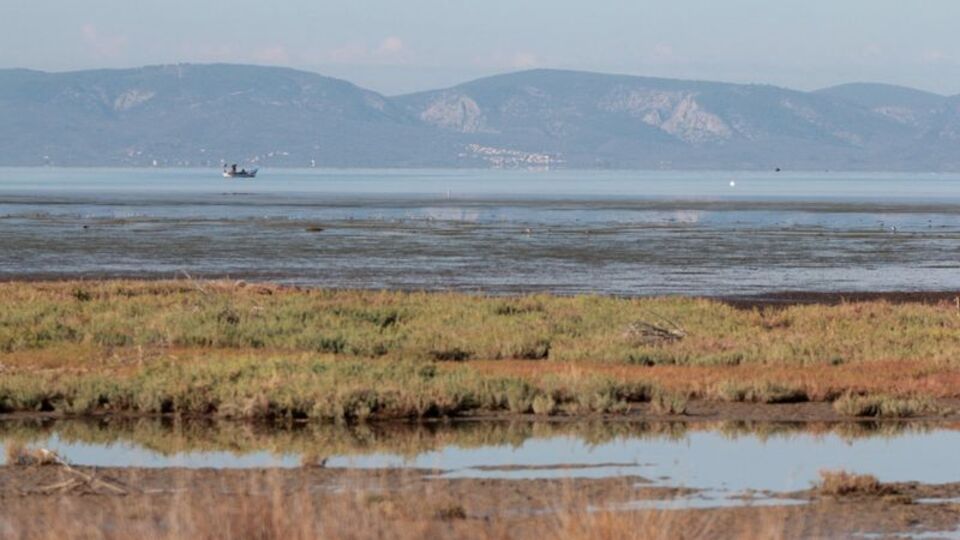 Bugüne kadar 175 tür gözlendi