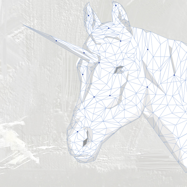 Yarının 'unicorn'ları bu araştırmayla belli olacak