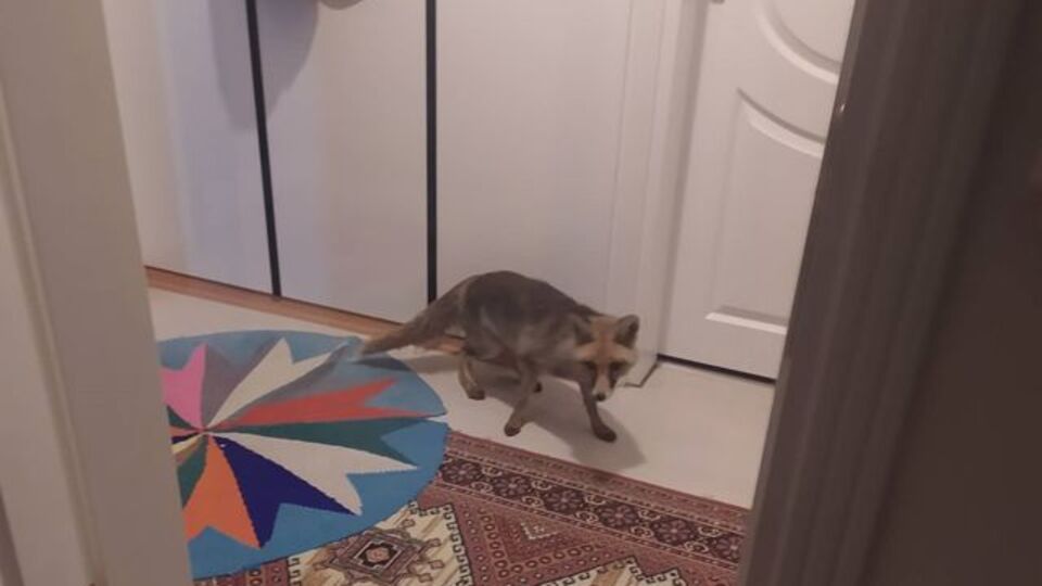 Evine kadar takip etti... O anları kaydetti