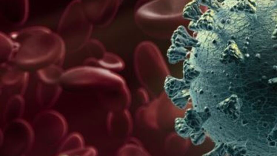 Koronavirüs belirtileri nelerdir?