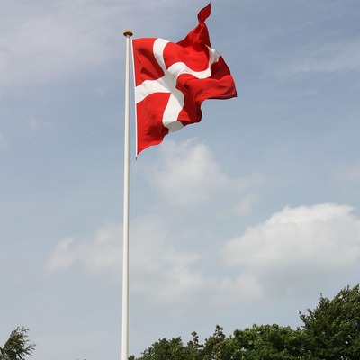 Danimarka'dan şoke eden Suriyeli kararı!