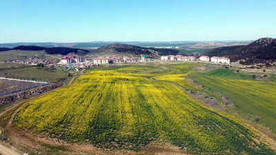 Bill Gates vurgunu! Satışa çıkardılar