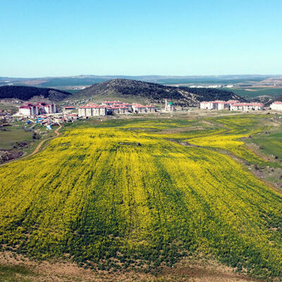 Bill Gates vurgunu! Satışa çıkardılar