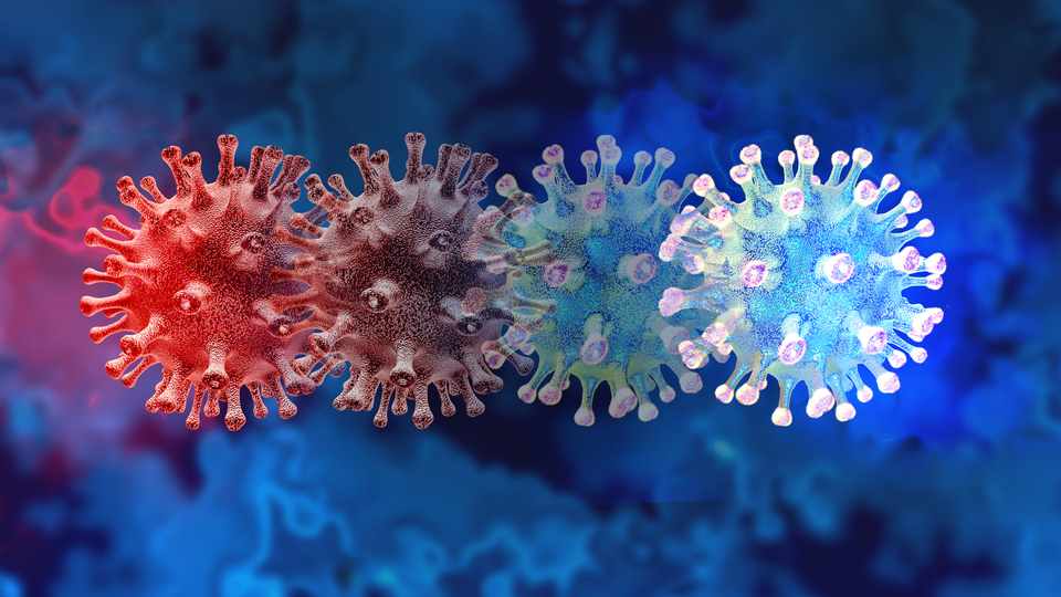 Hint varyantı salgının seyrini değiştirebilir