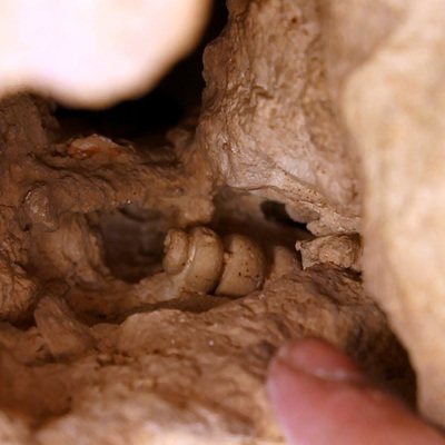 Şans eseri bulundu... Köylülerin keşfi heyecan yarattı