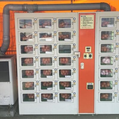 Japonlar sonunda bunu da yaptı!