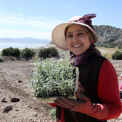 Burdur Gölü'nde işe yaradı darısı diğerlerine!