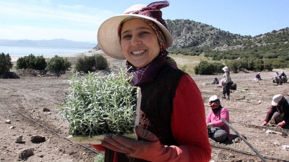 Burdur Gölü'nde işe yaradı darısı diğerlerine!