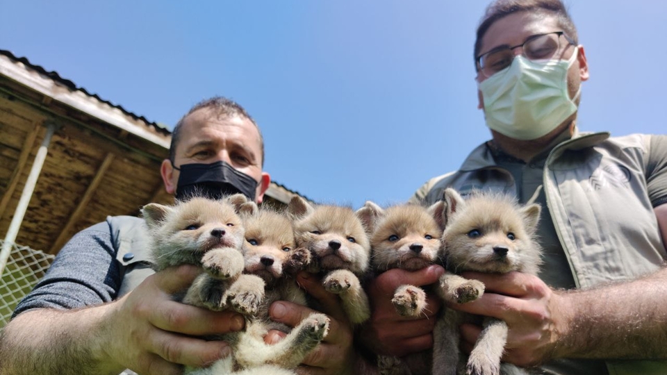 Kazada anneleri öldü, bakıma alındılar