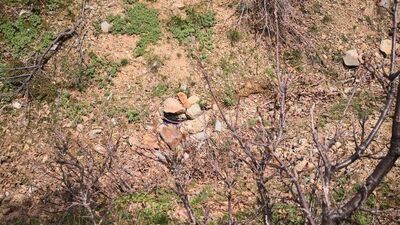 Lice'de 6 terörist öldürüldü!