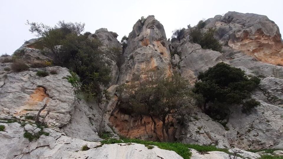 Mersin'de heyecanlandıran keşif! 8 bin yıllık