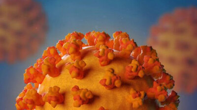 Mutasyonlu virüs belirtileri nelerdir?