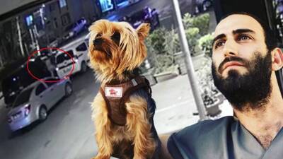 Veteriner hekime magandalardan öldüresiye dayak!