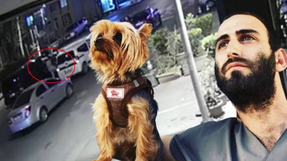 Veteriner hekime magandalardan öldüresiye dayak!