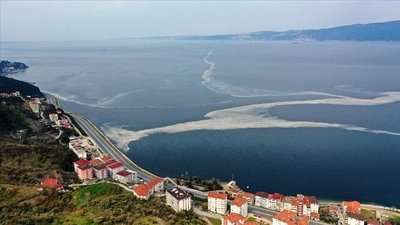 Müsilaj (deniz salyası) nedir?