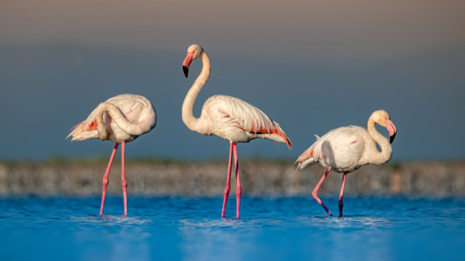 Drone ile çekim yapanlara uyarı