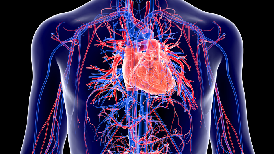 Sırtta yırtılma tarzı ağrıya dikkat!