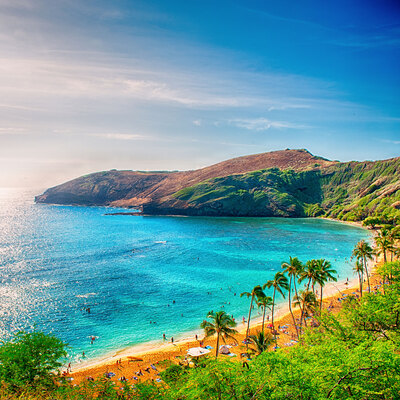 Covid-19 aşısı yaptıranlara yeşil ışık!