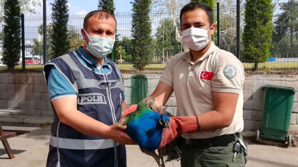 Akılalmaz hırsızlık! Bu kadarına "Pes!"