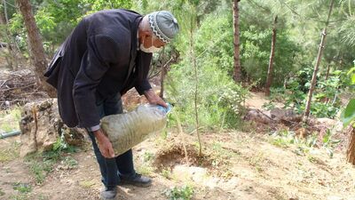 Çöplüğü ormana çevirdi