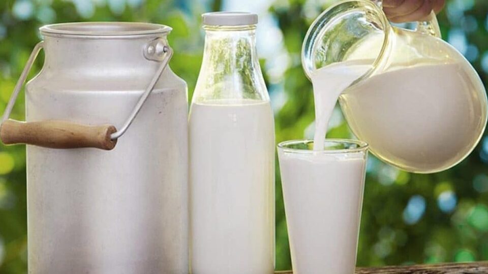 'Bakanlık süt için devrede'