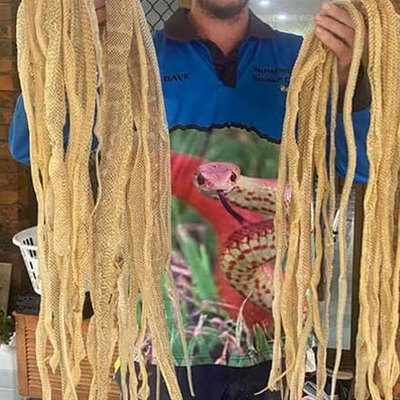 Çatı katında ürküten keşif!