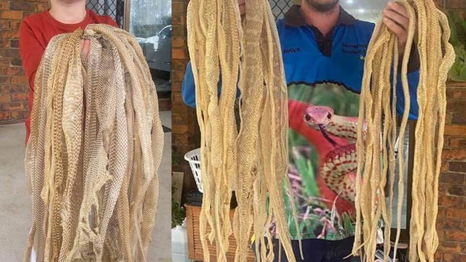 Çatı katında ürküten keşif!