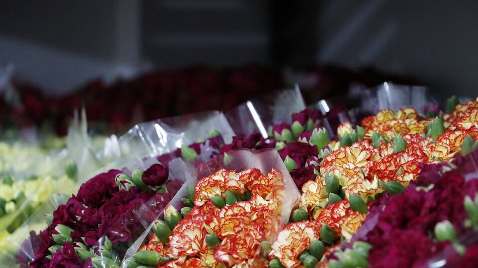 Bugün çiçekçiler açık mı?