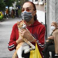 'Emekli maaşım sokak hayvanlarına gidiyor'