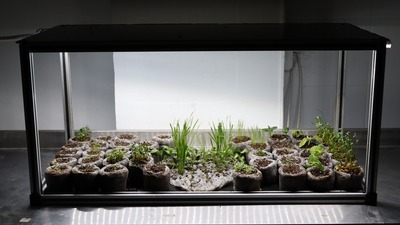 Keiretsu'dan topraksız tarım yatırımı