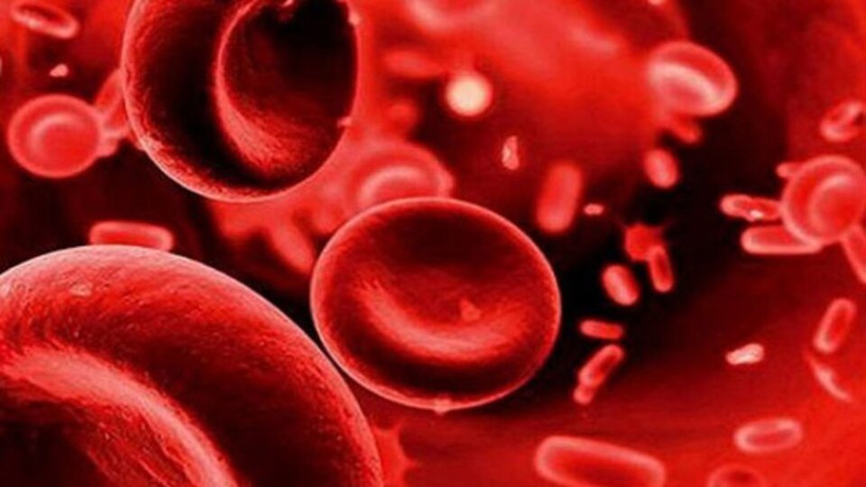 Mehmet Ali Erbil'in hastalığı Kaçış Sendromu nedir?