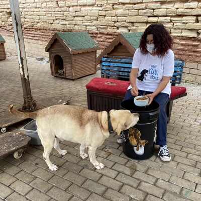 Sahtekârlar bu kez de hayvanseverleri dolandırdı